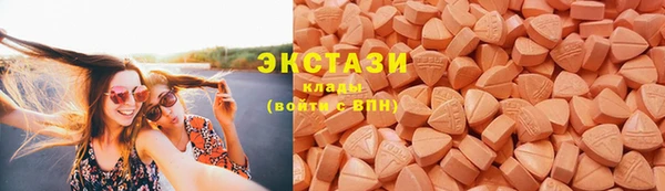 ECSTASY Богородицк