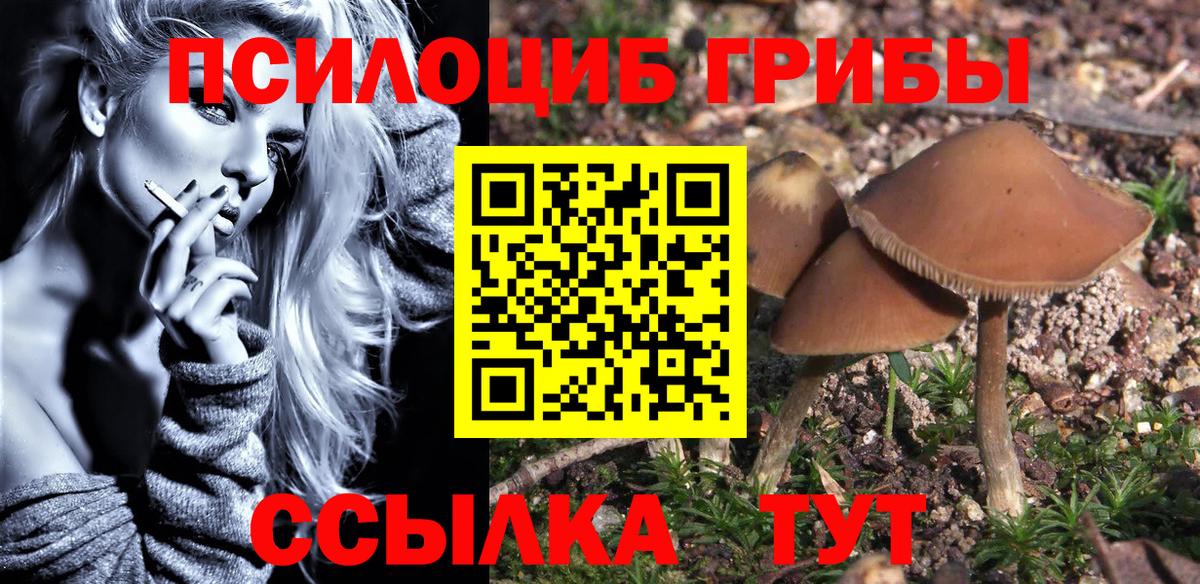 Электросталь  Галлюциногенные грибы Psilocybine cubensis  где купить наркоту  Вход с VPN 