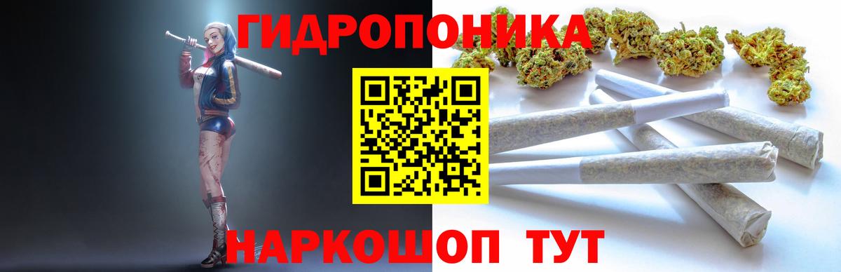 Бошки Шишки Amnesia Электросталь